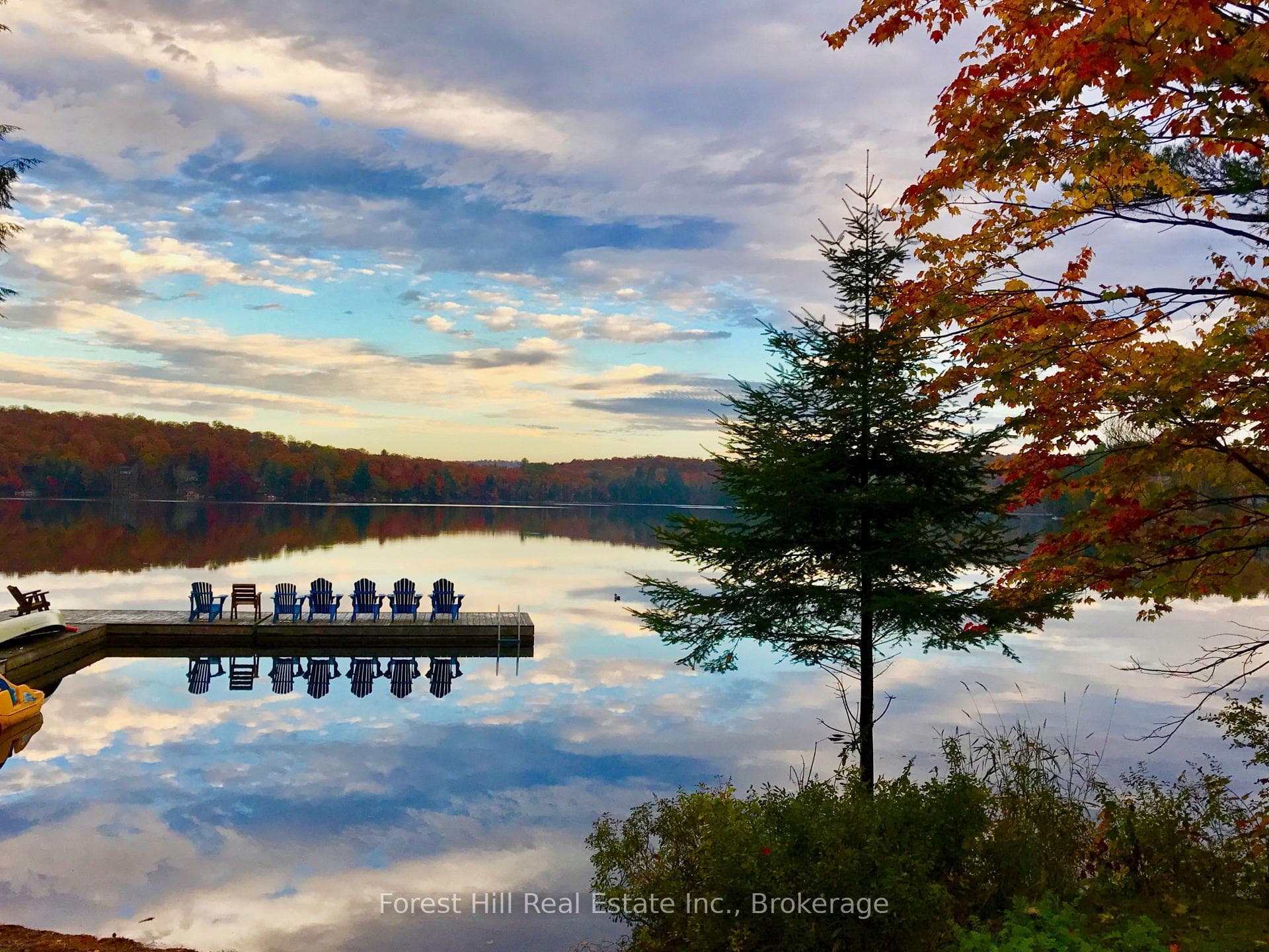 Fall at the Lake