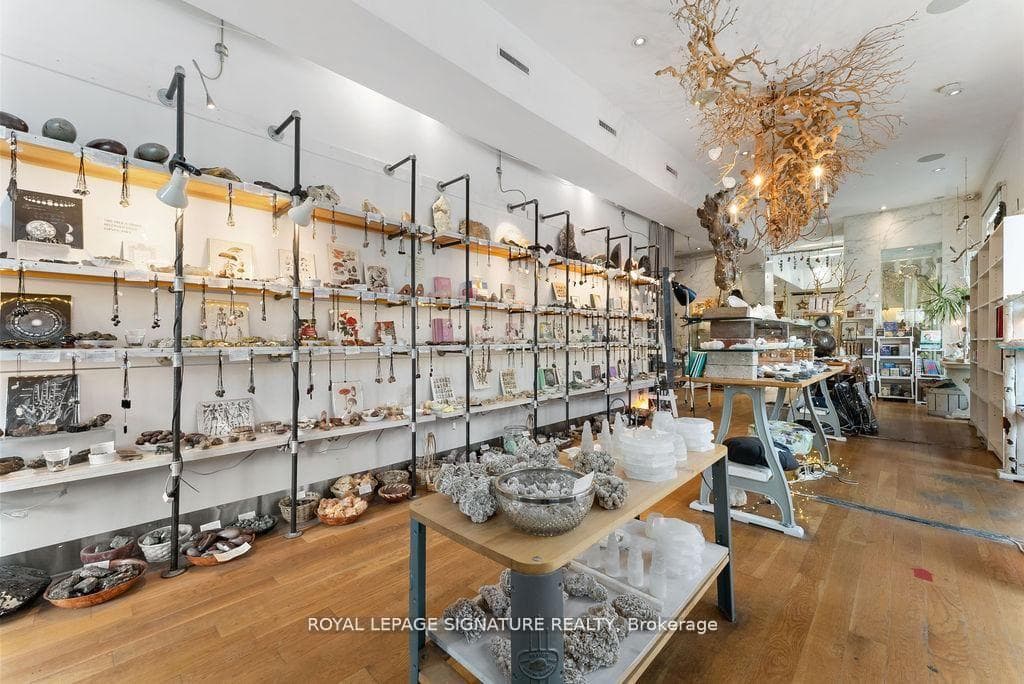 154 Harbord Street photo 12