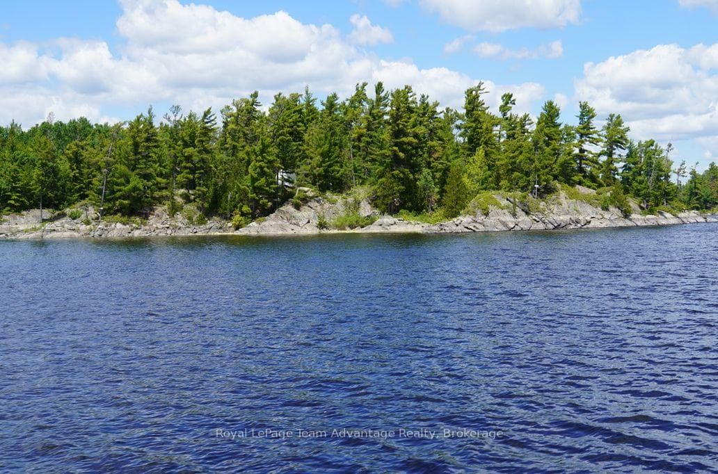 TP3411 ISLAND FRENCH RIVER N/A photo 12