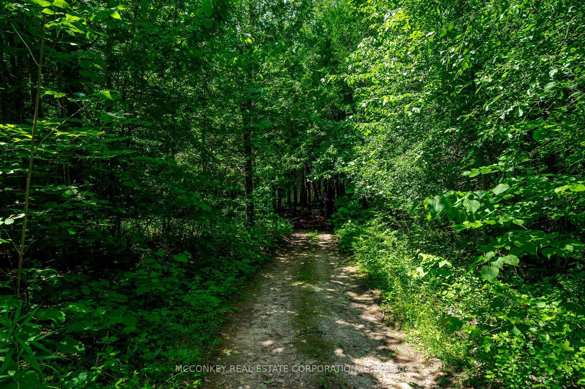 3213 Hwy 28 N/A photo 30