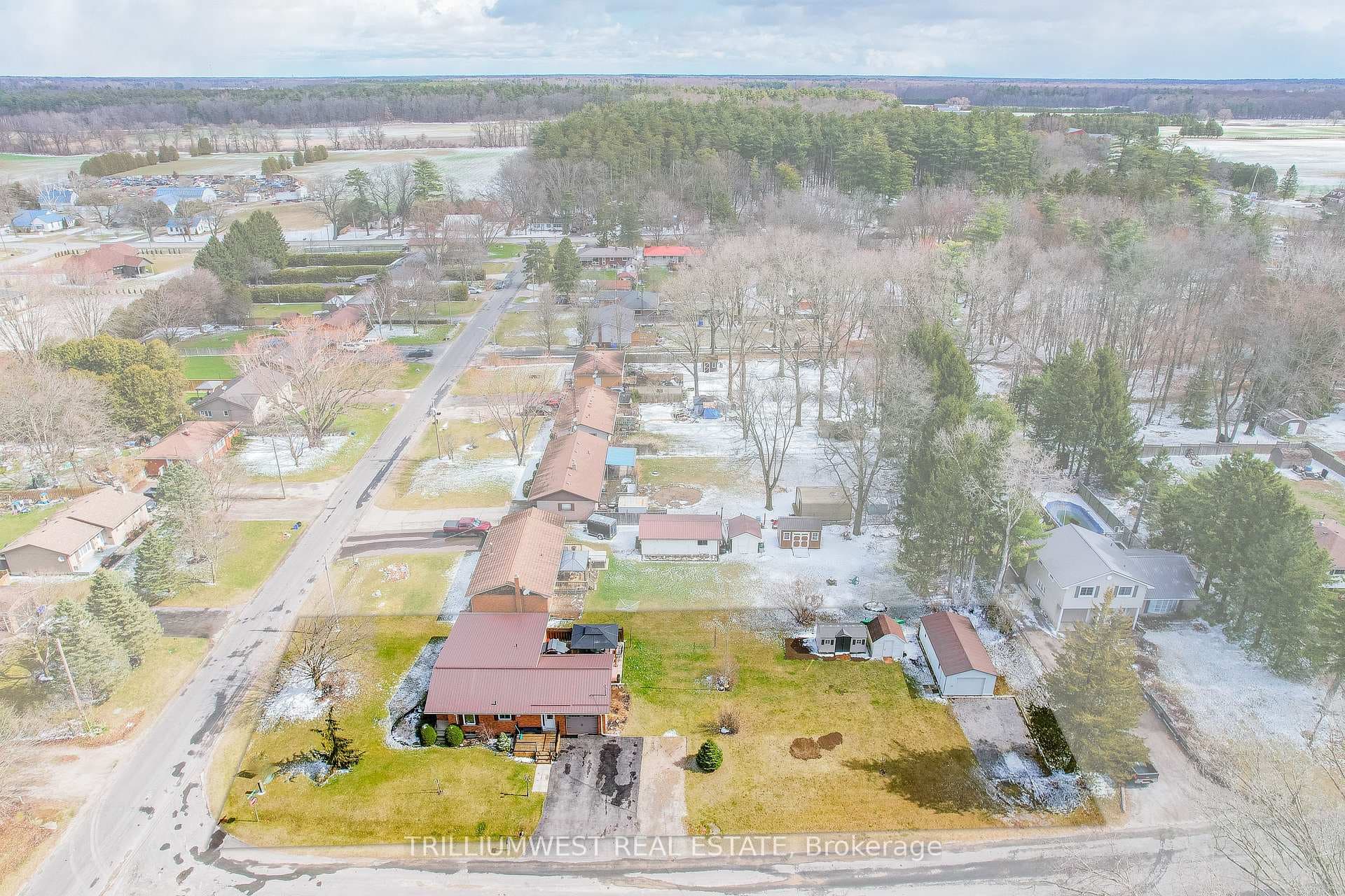 30 Pinegrove Street photo 35