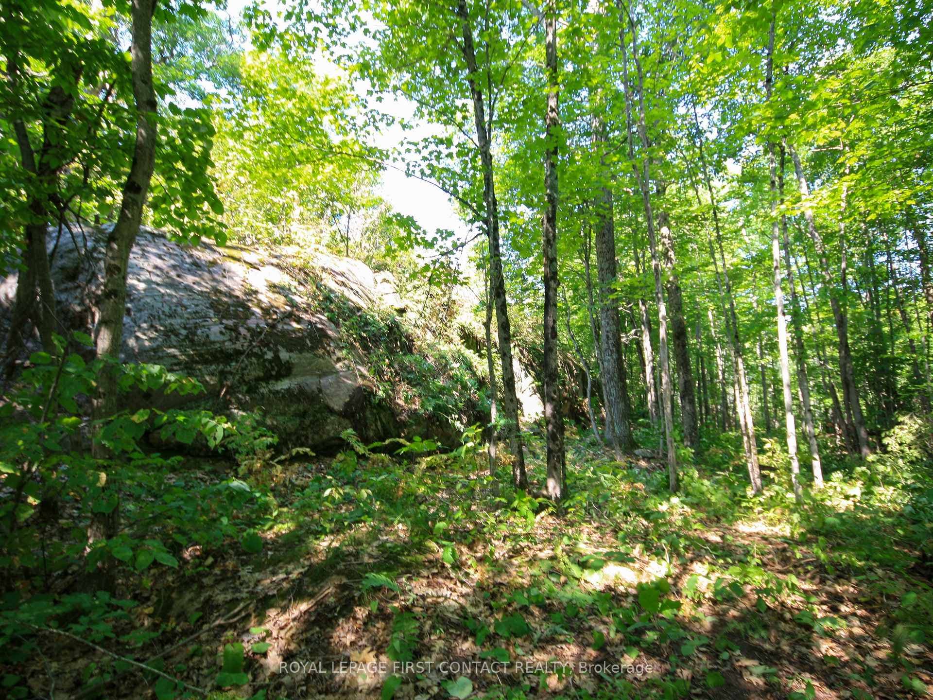 213 Birch Acres Drive photo 37