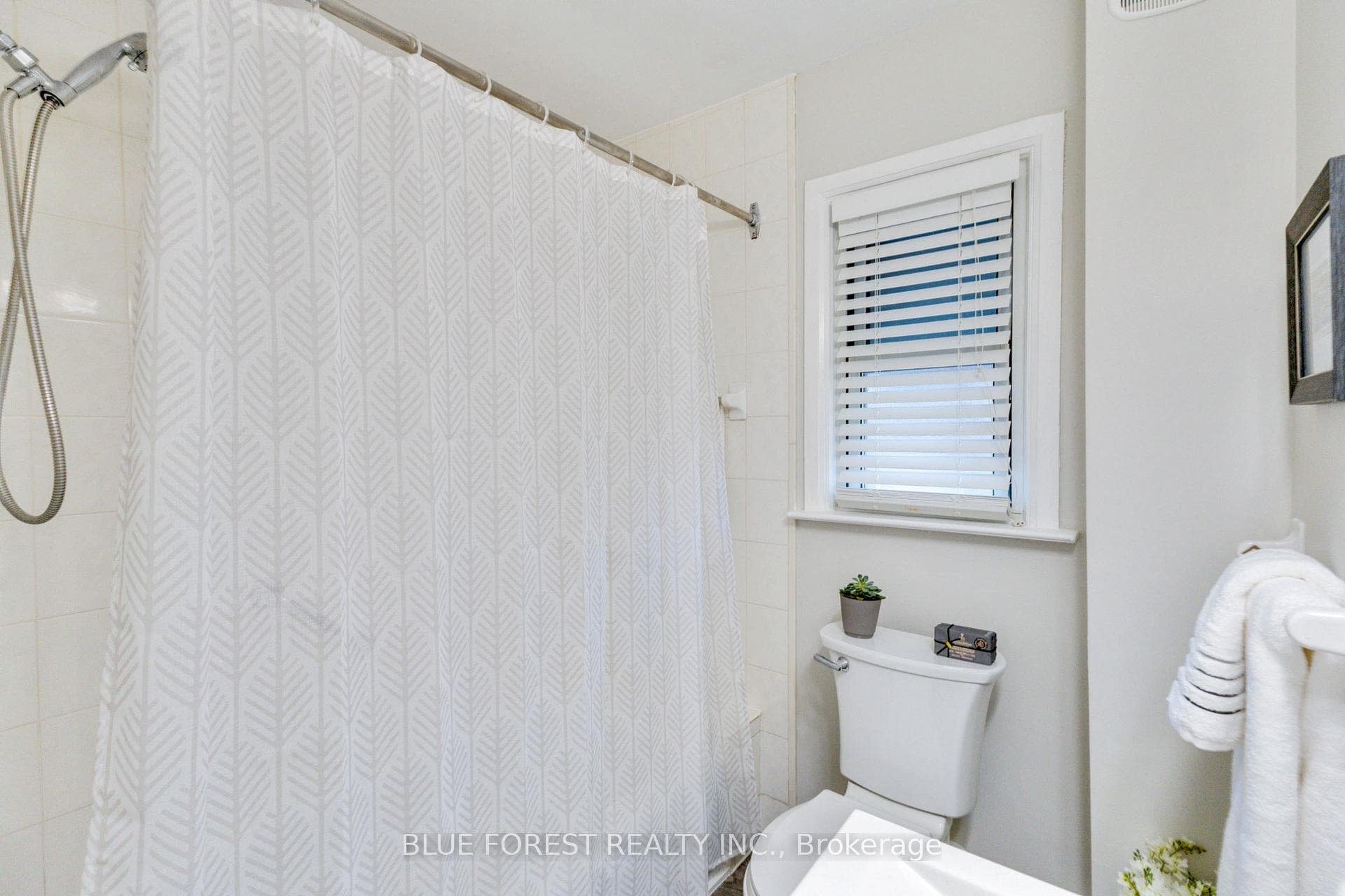 8 Durham Street photo 18