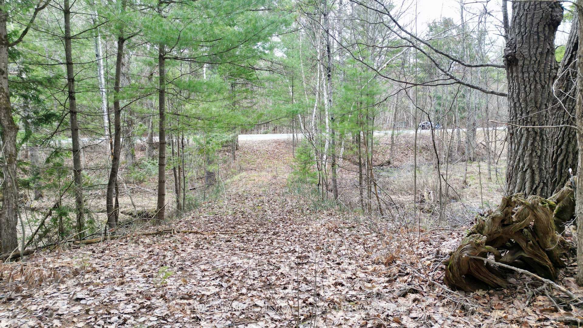 2493 Housey's Rapids Road photo 7