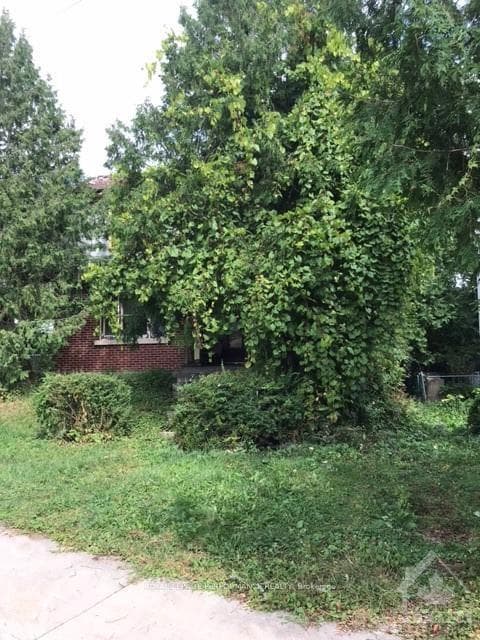 31 HARVARD Avenue photo 13