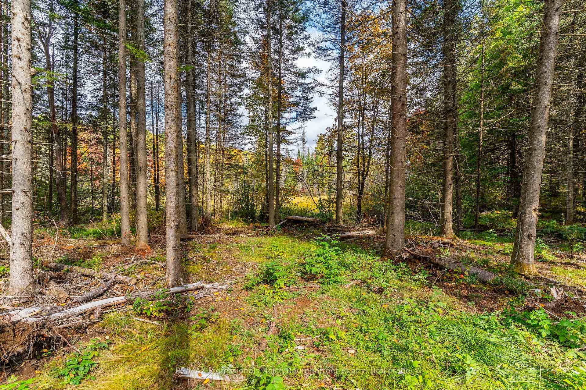 1099 Penzance Trail photo 3