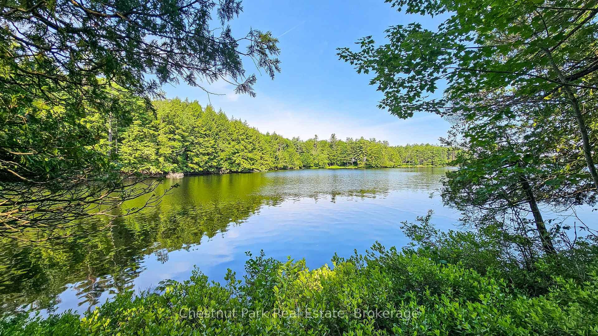 1 Merlin (Island M91) Island photo 30