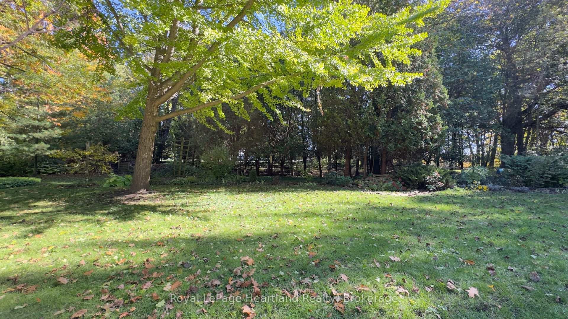 81364 Champlain Boulevard photo 43