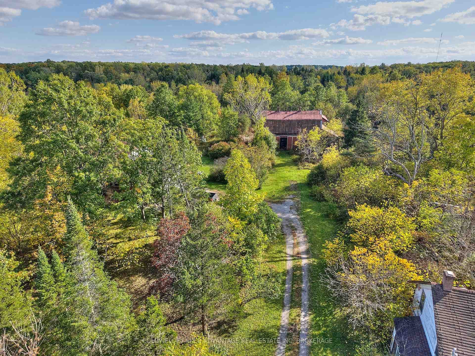 925 Carl Road photo 21