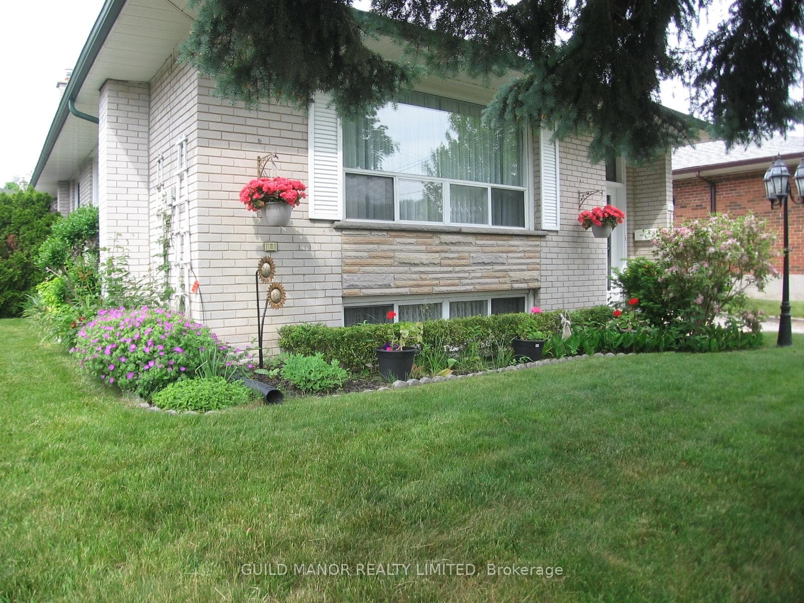 55 Medley Crescent photo 5
