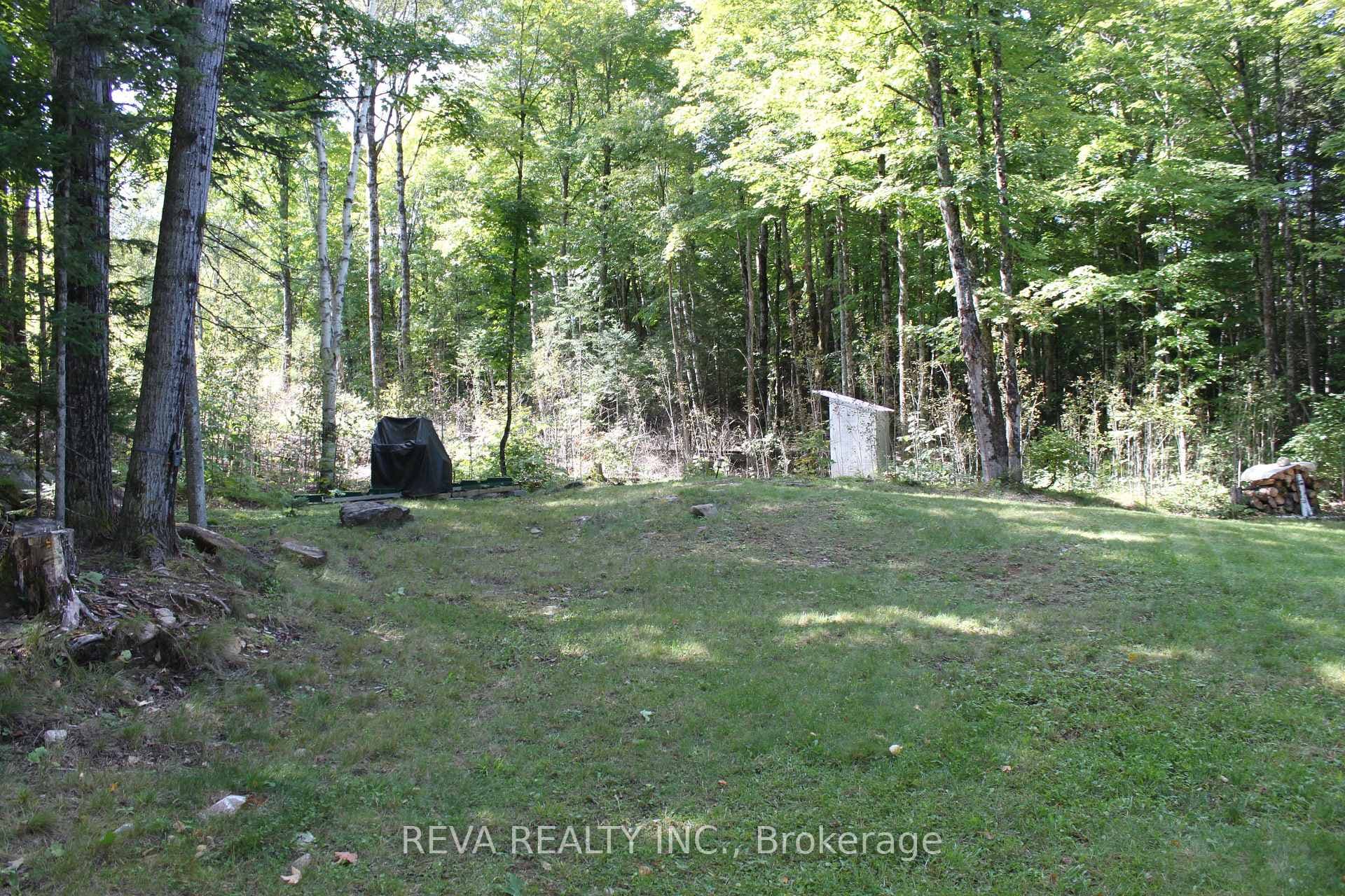 1173 Fortesque Lake Road photo 7