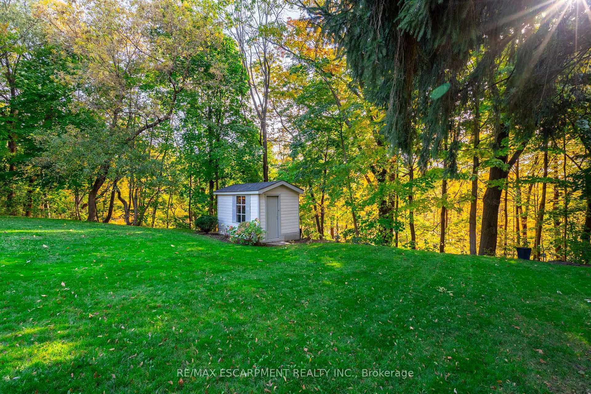 64 Nelson Street photo 34