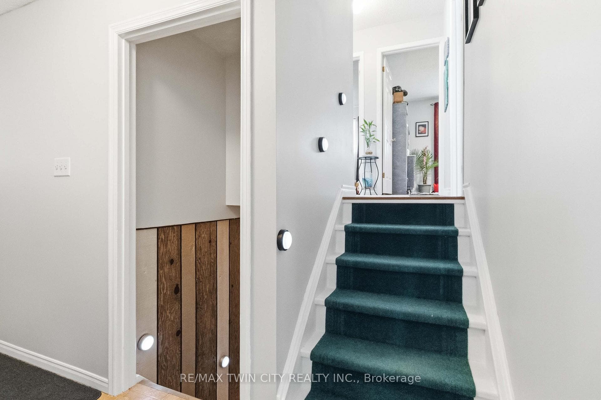 51 Abeles Avenue photo 15