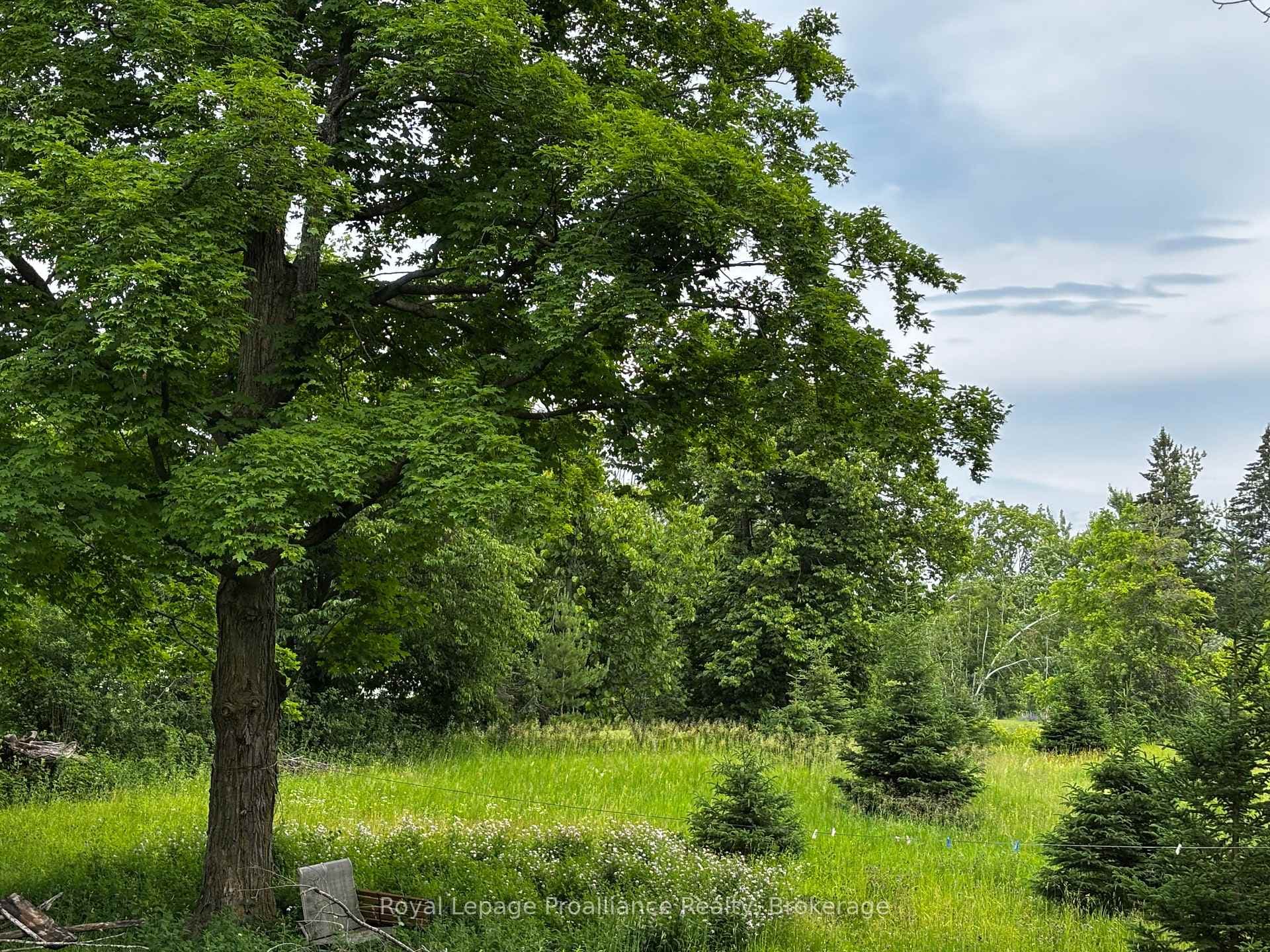 2683 Maplegrove Road photo 19