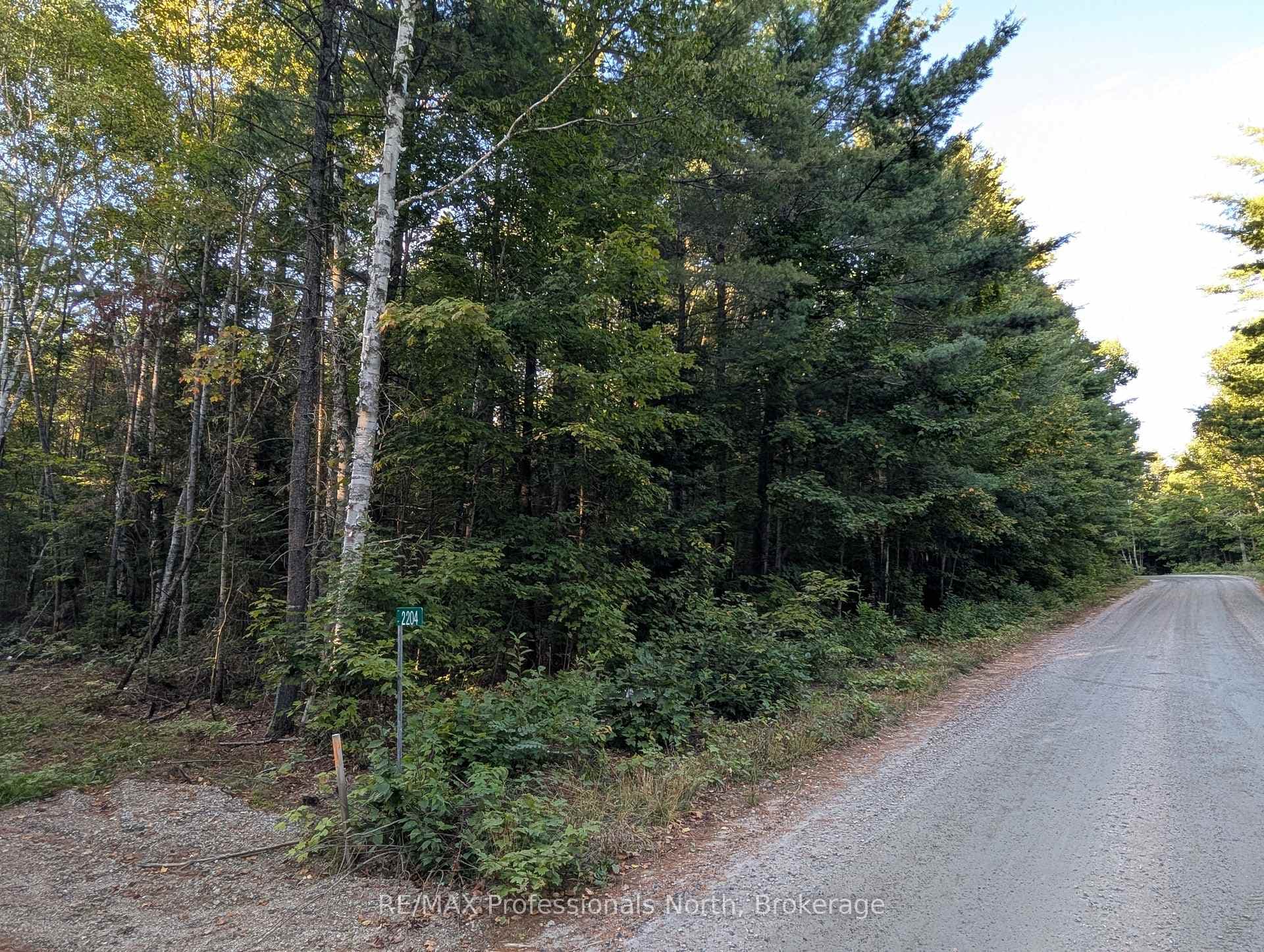Road Frontage on South End of Property