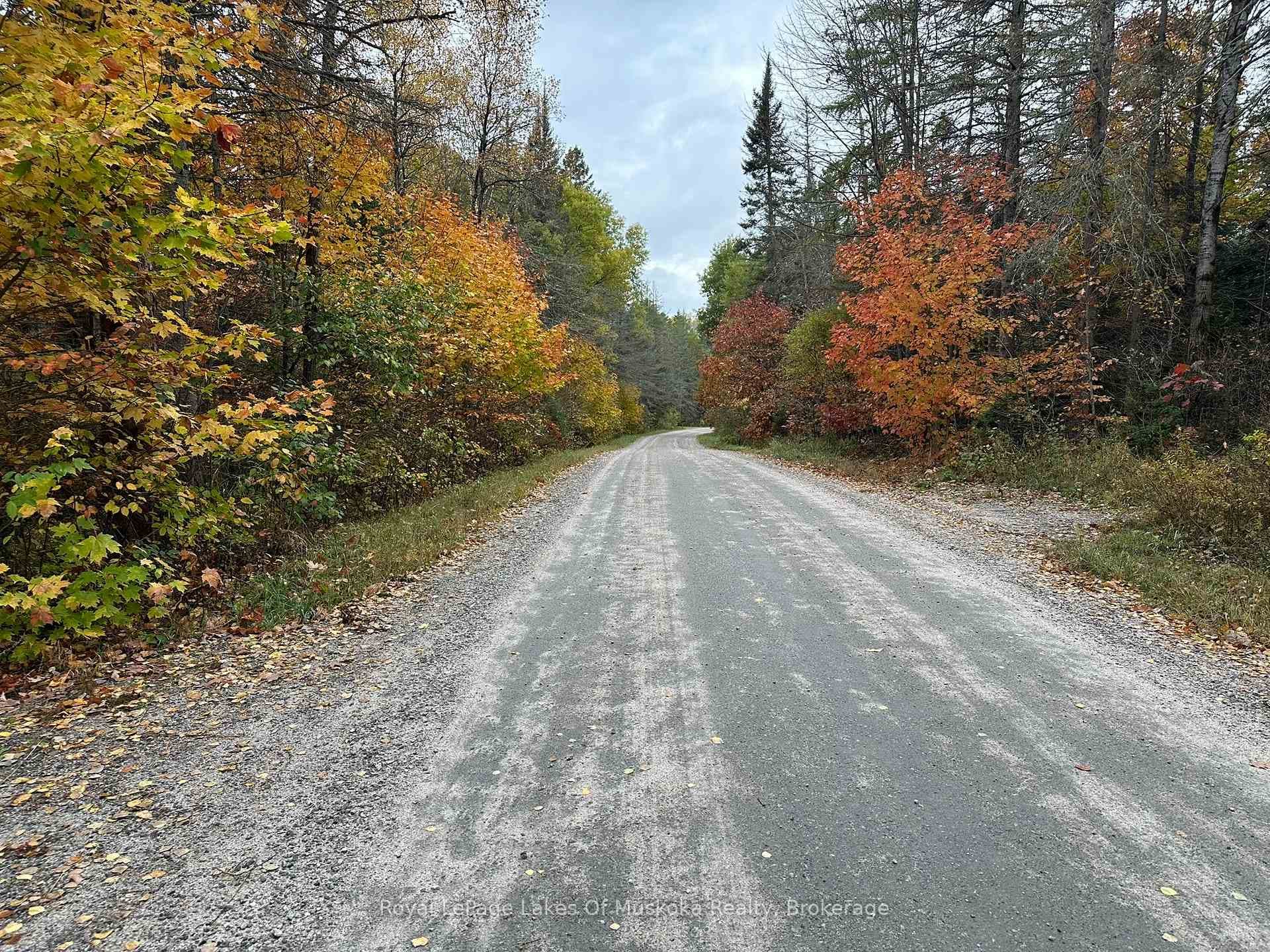 Well Maintained, Tree Lined Road