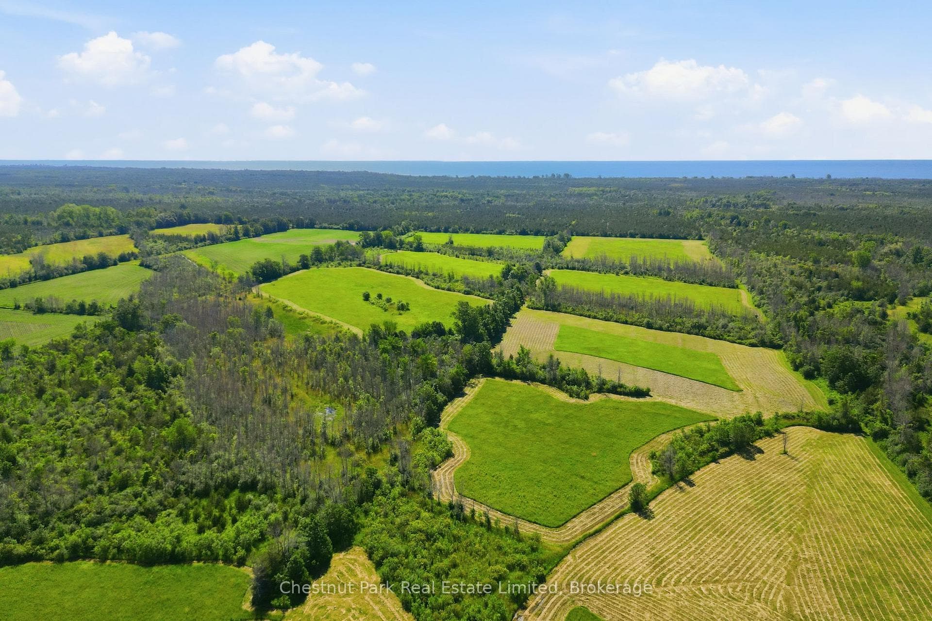 647 Helmer Road photo 11