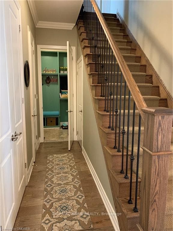 163 Magnolia Crescent photo 15