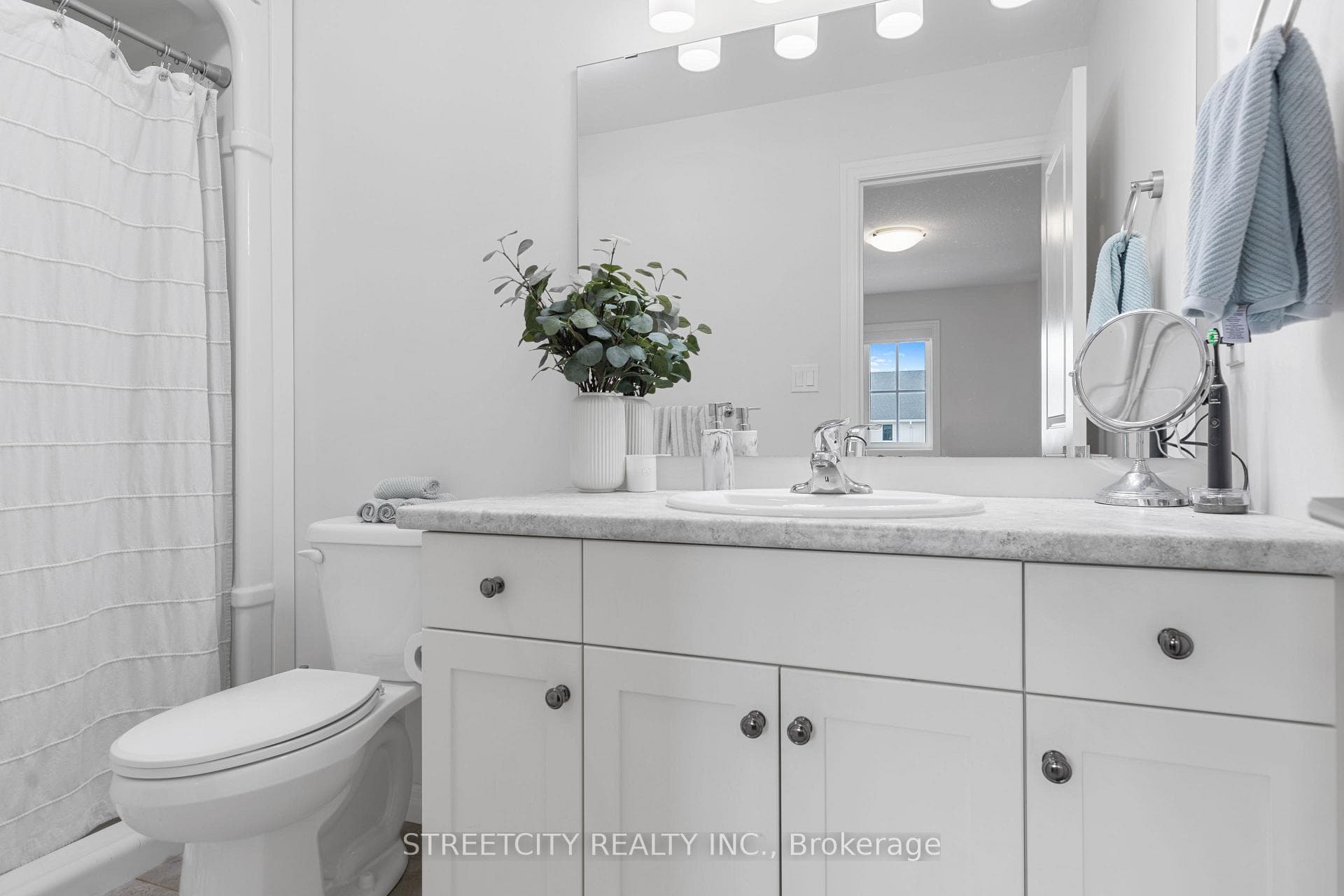 36 Cortland Terrace photo 14