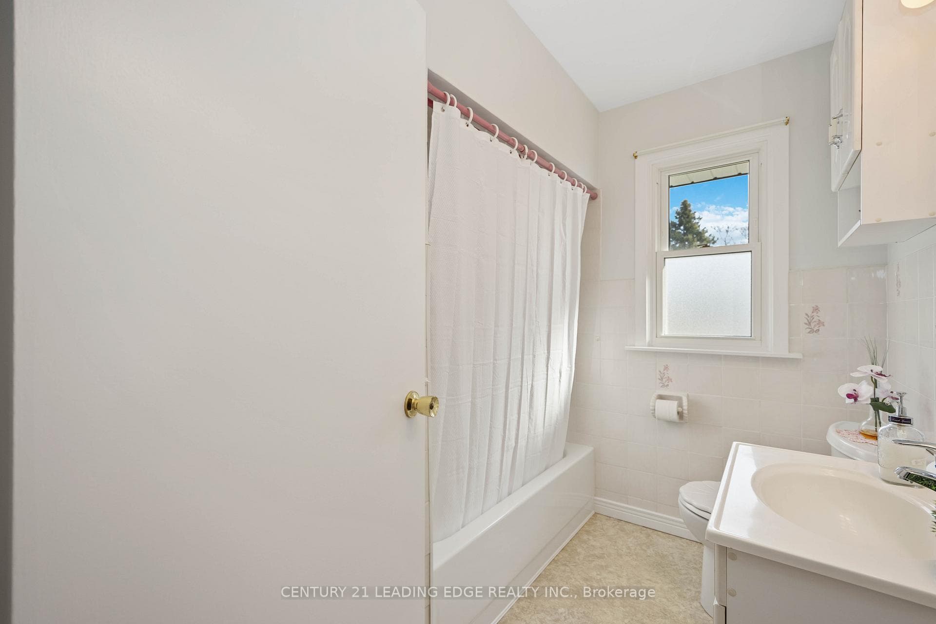 17 Lynwood Avenue photo 23