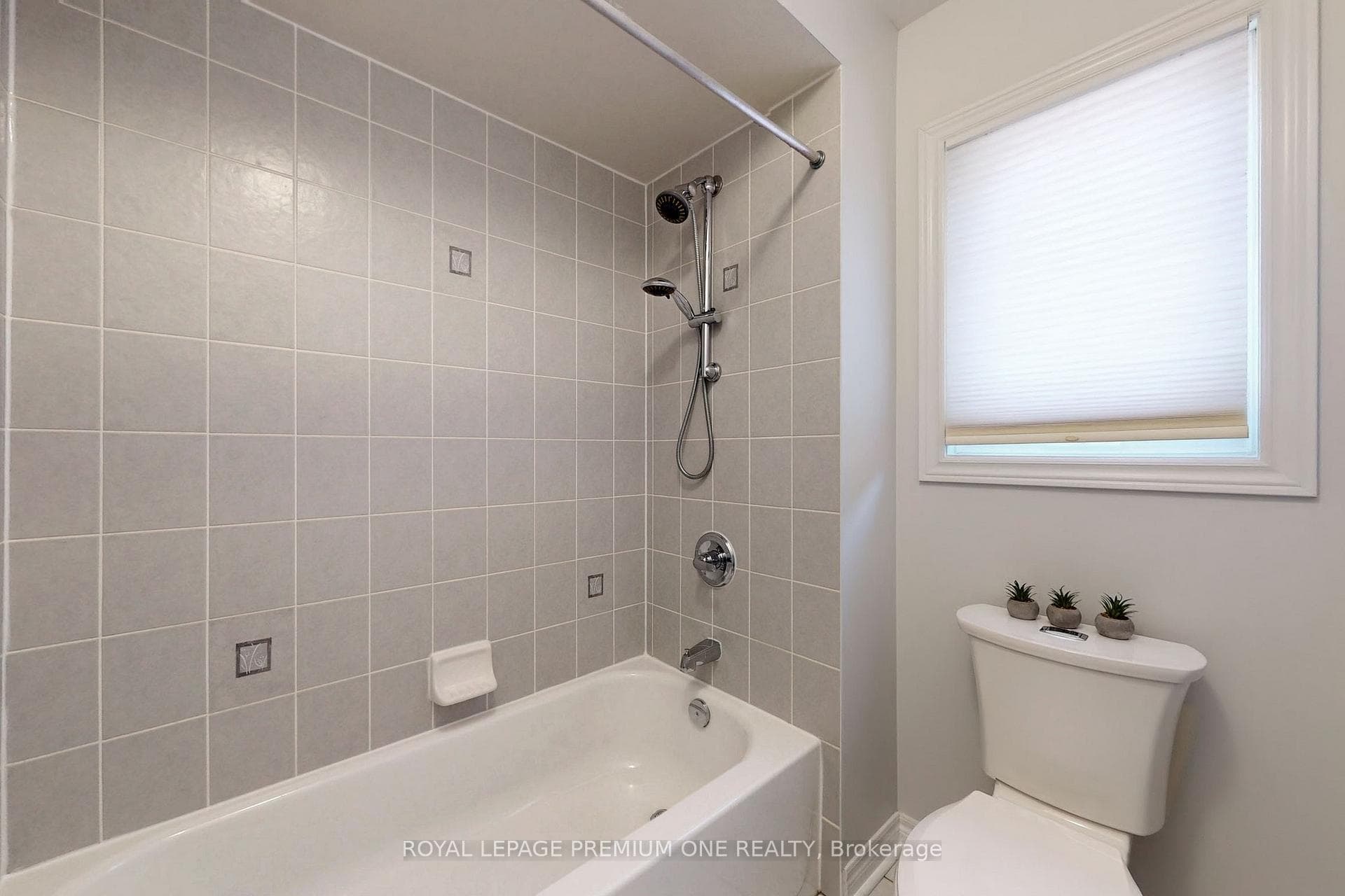 372 Vellore Park Avenue photo 19