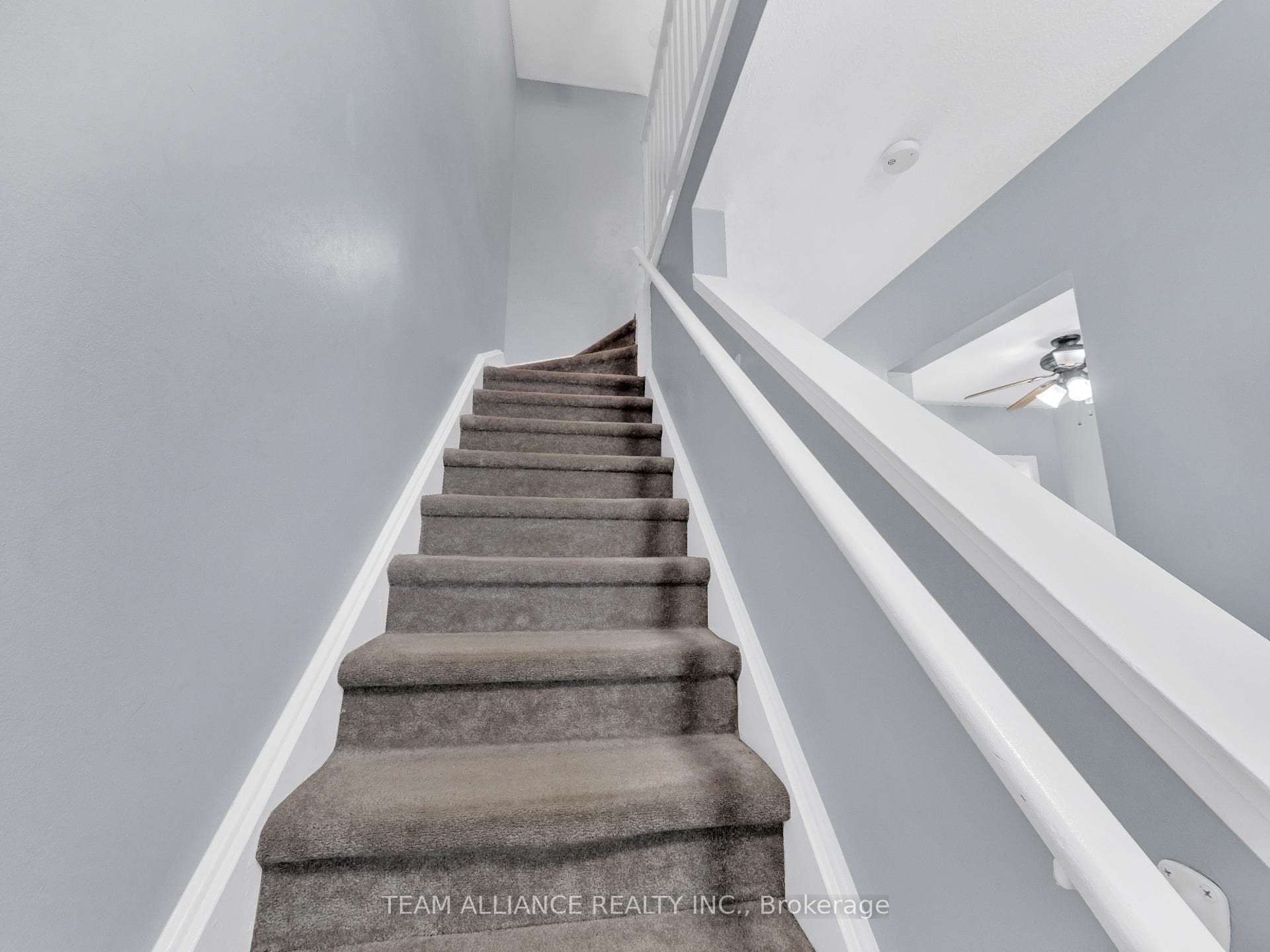 2687 Vine Court photo 10