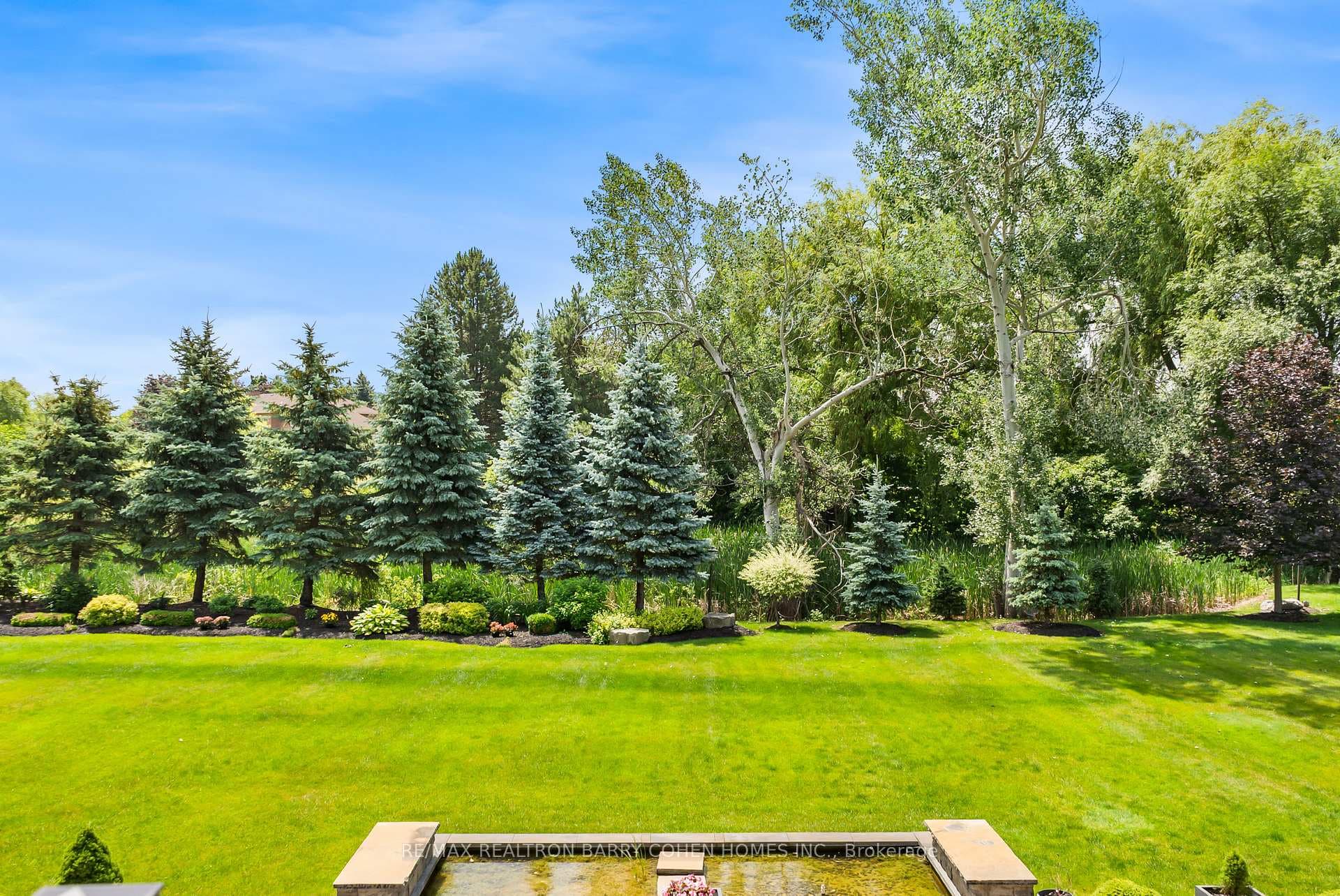 15 Sylvia Court photo 44