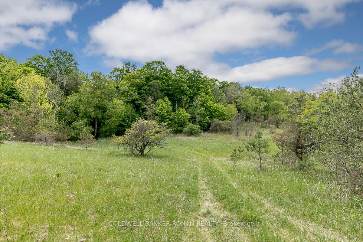 995077 Mono Adjala Townline N/A photo 9