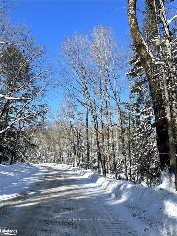 LOT 2 DWIGHT BEACH Road photo 29