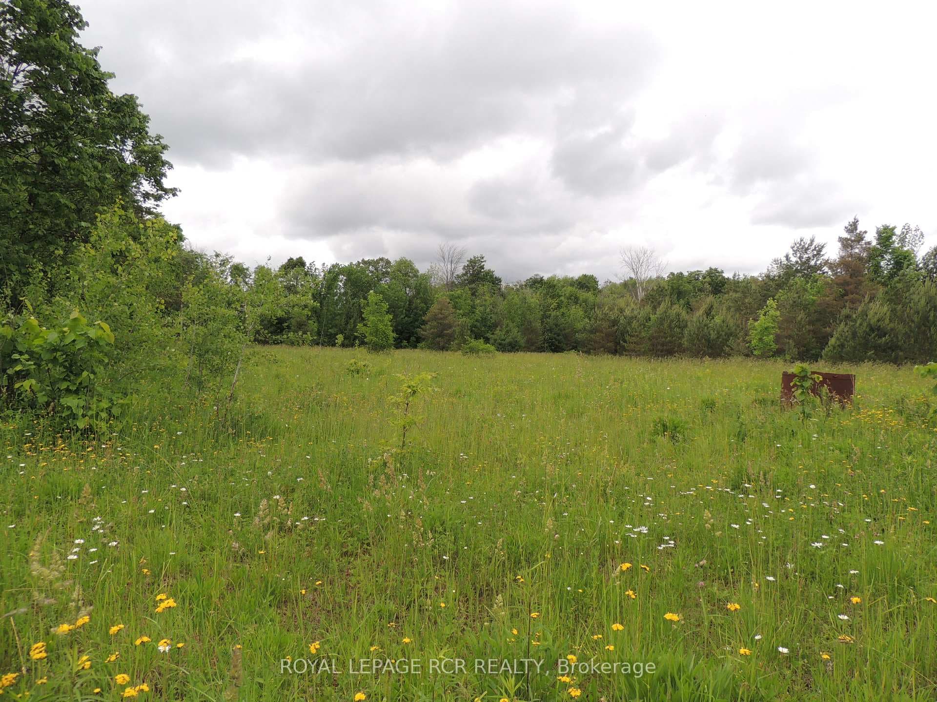 136249 Grey Road 40 Road photo 21