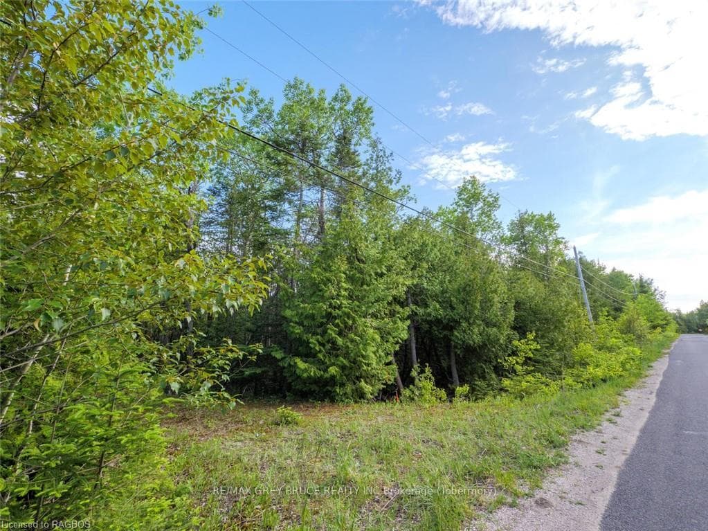 LT31-32 BIG TUB Road photo 27