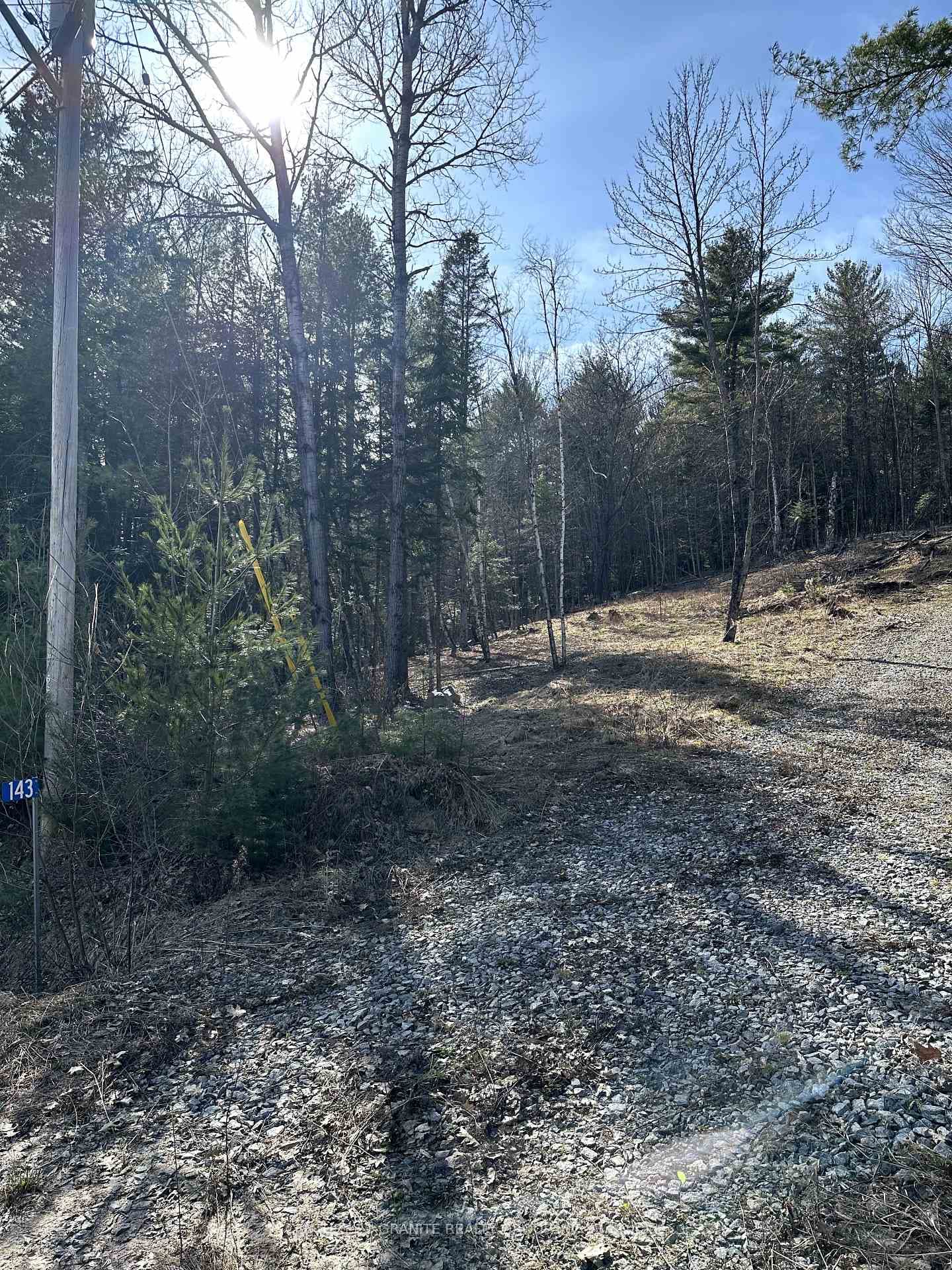 143 Maxwell Settlement Road photo 13