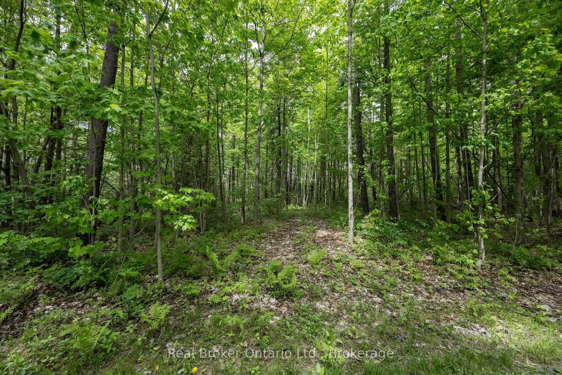 3061 Green Road photo 45