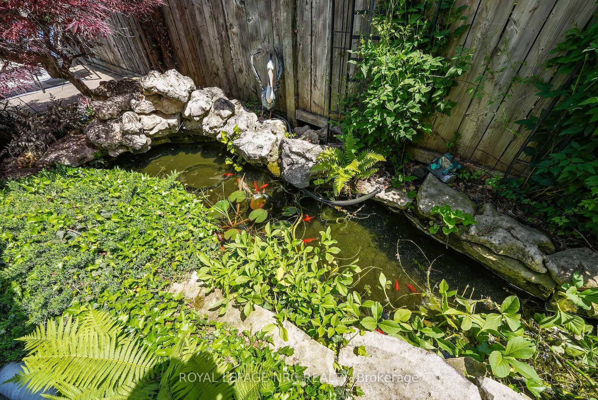 Tranquil pond