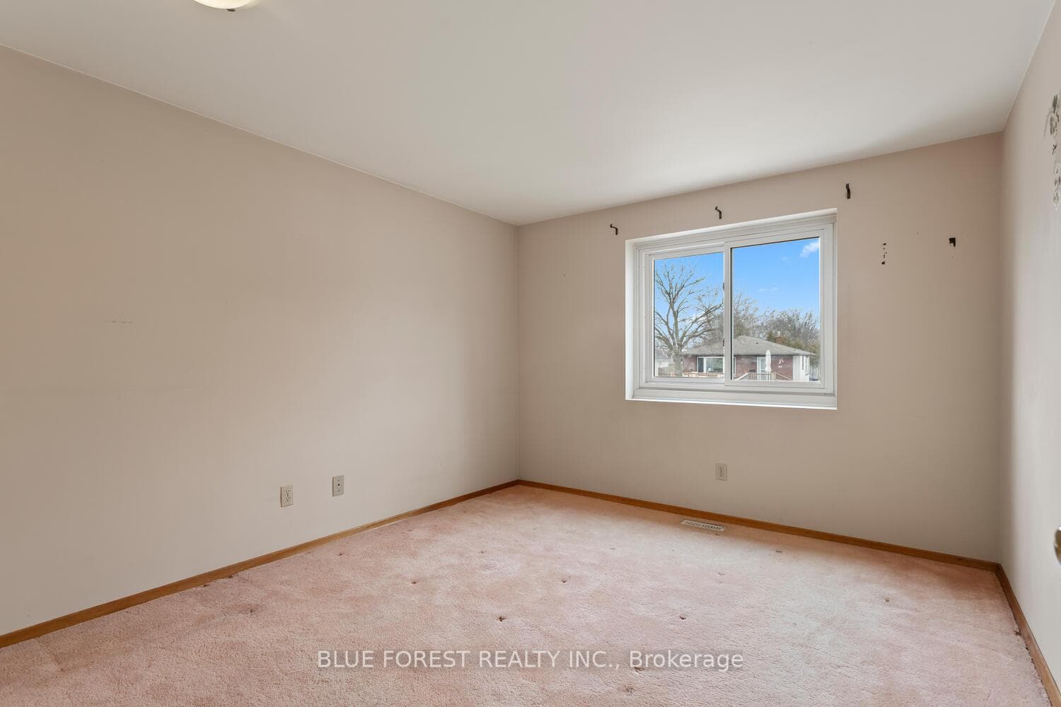 1001 Osgoode Drive photo 19