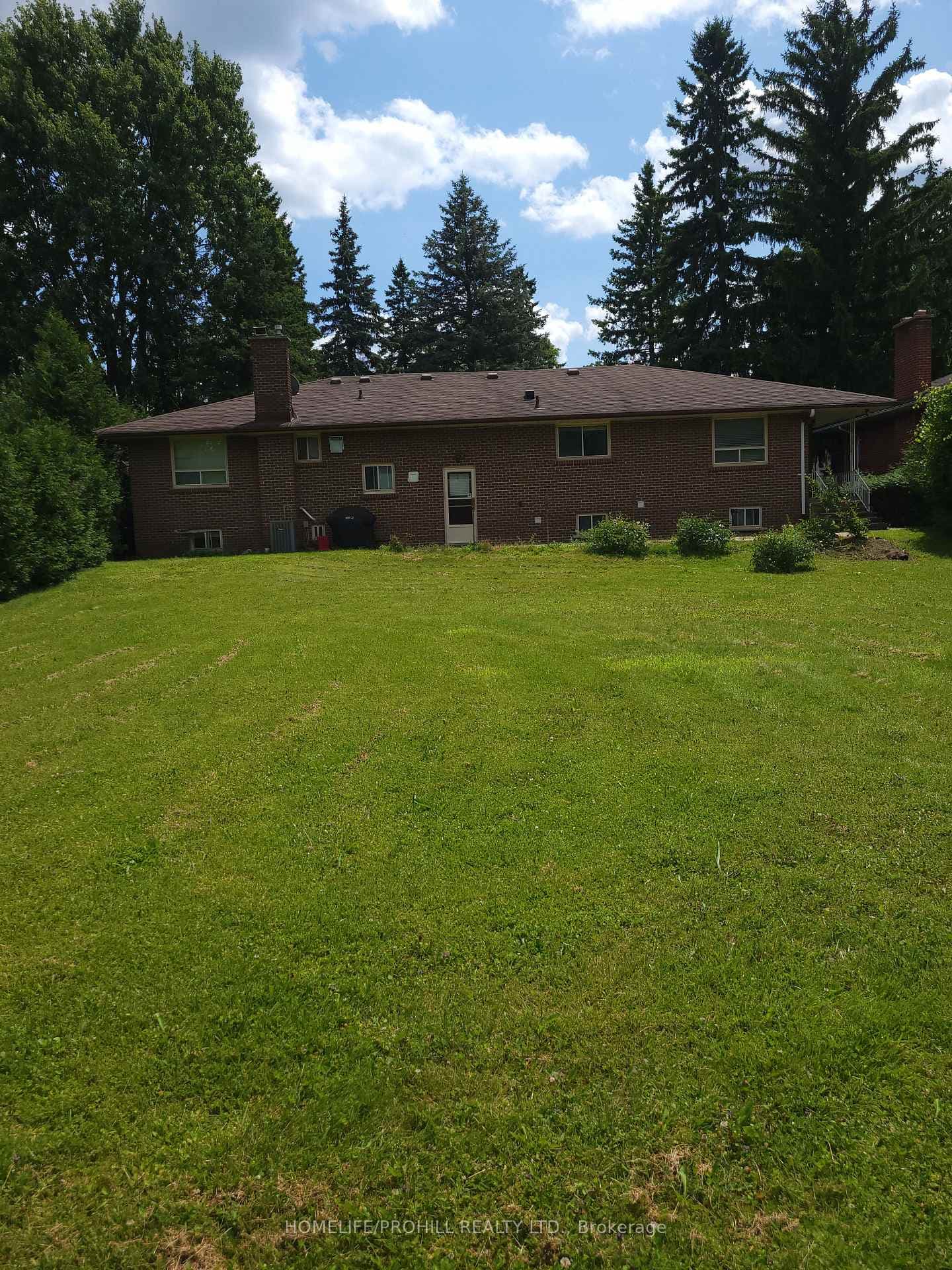 Large Backyard