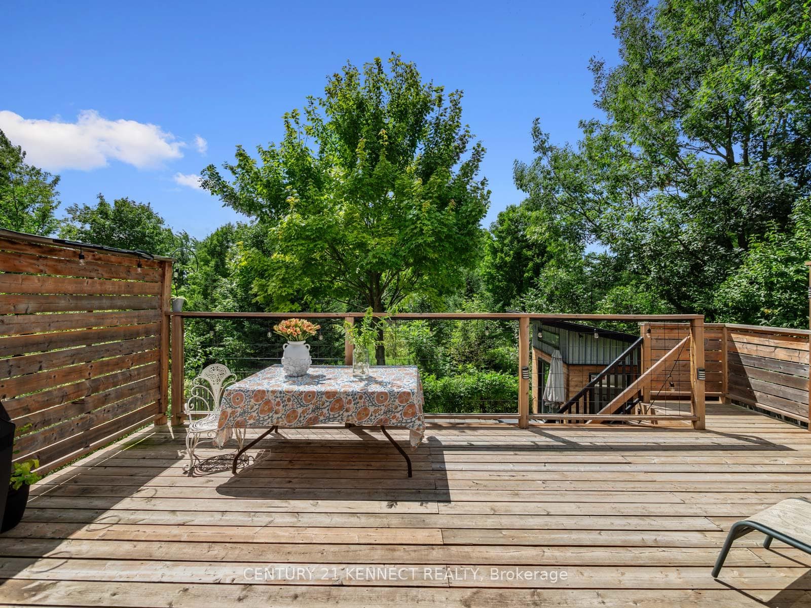 28 Kipling Avenue photo 38