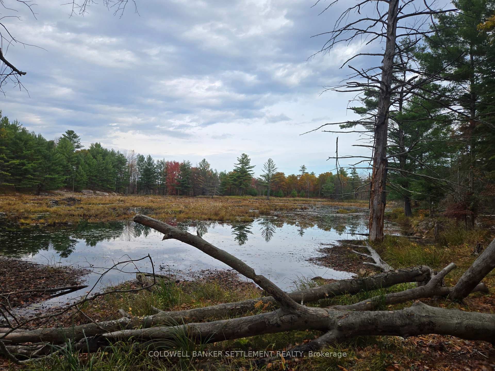 0 Cranberry Lake Road photo 12