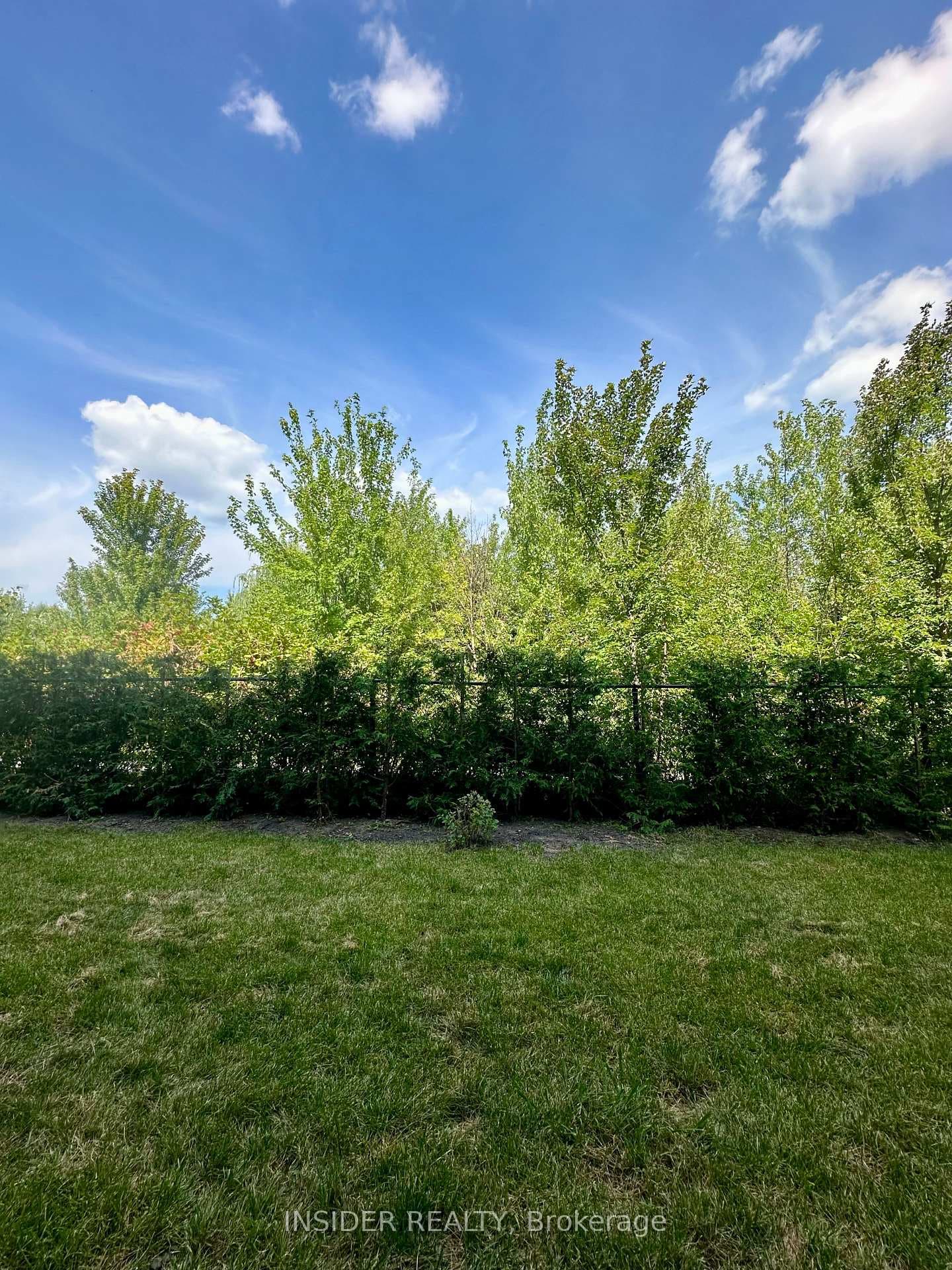 467 Hinchey Crescent photo 31