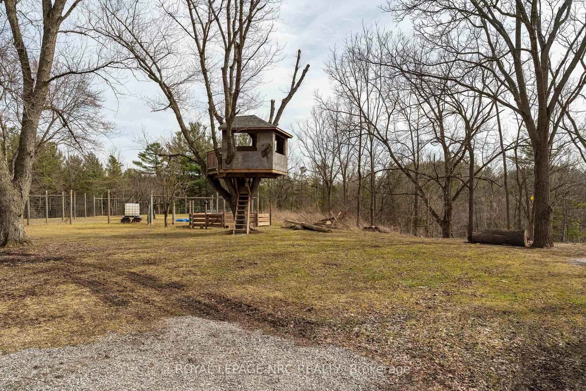 94 Roland Road photo 39