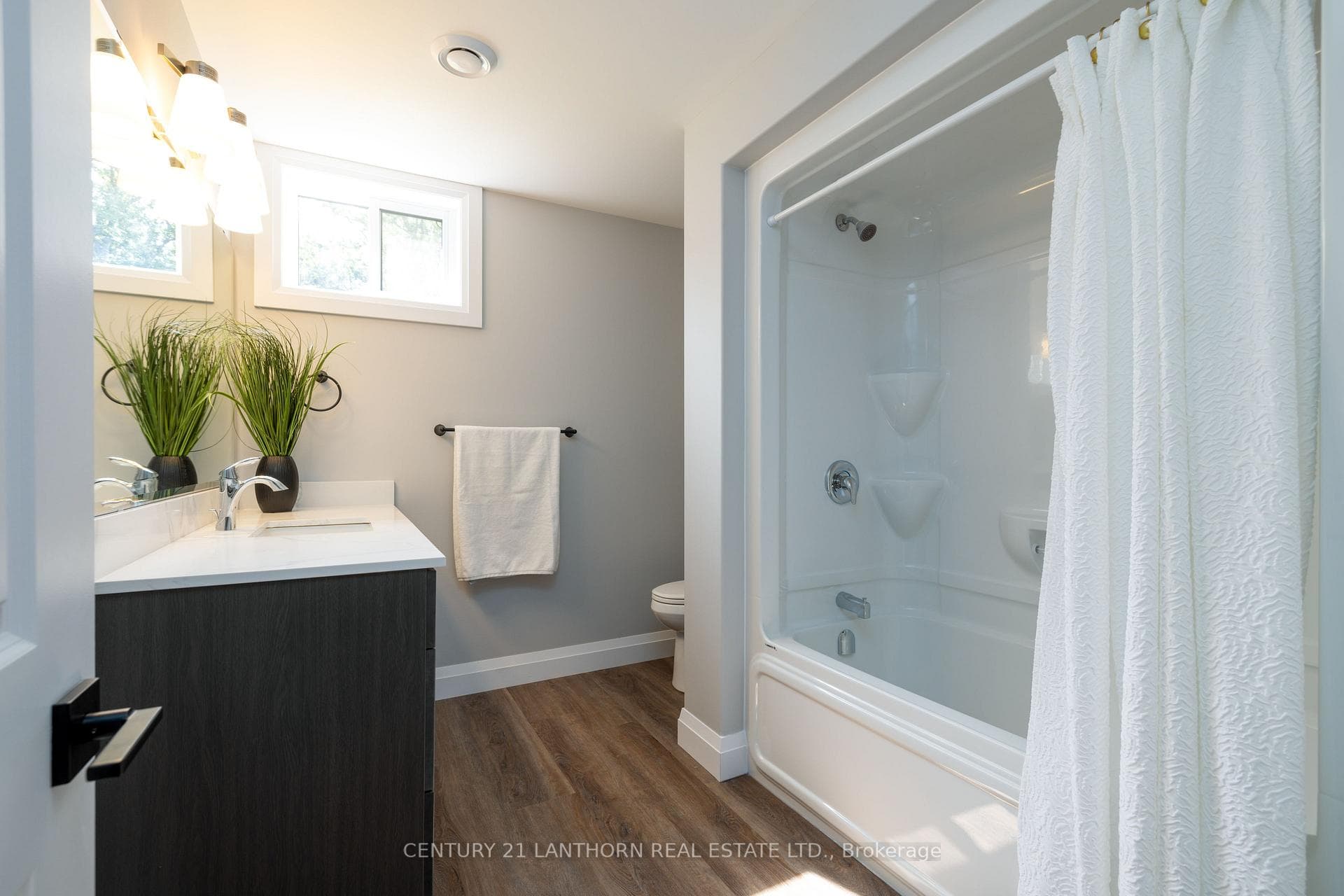 Lower level bathroom