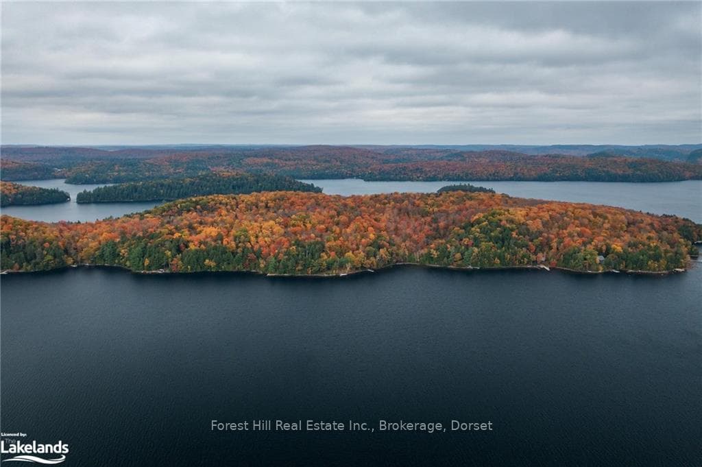 16750 KAWAGAMA LAKE N/A photo 31