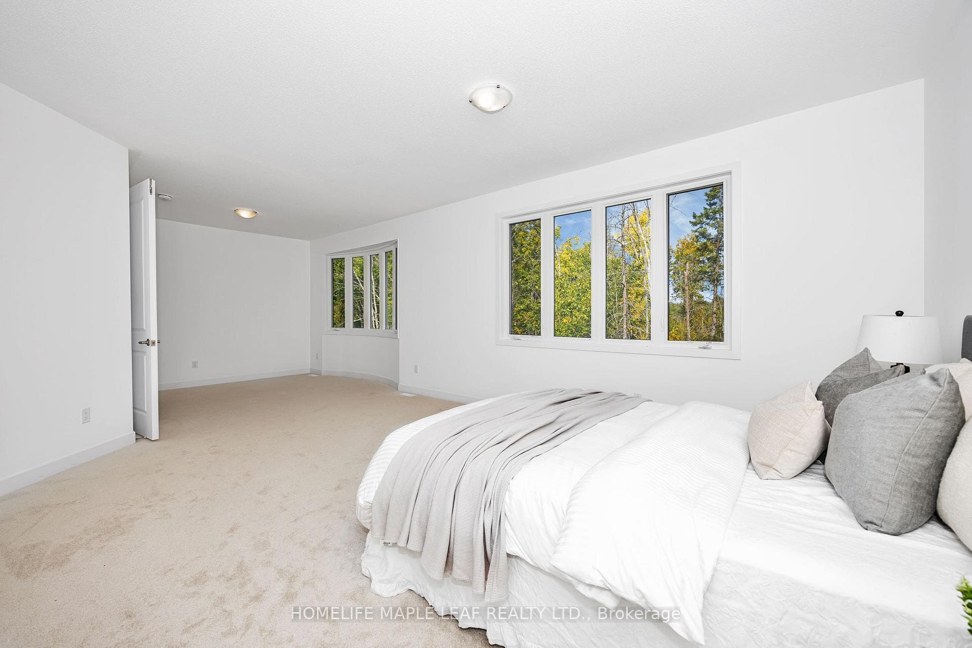 264 Antler Court photo 18
