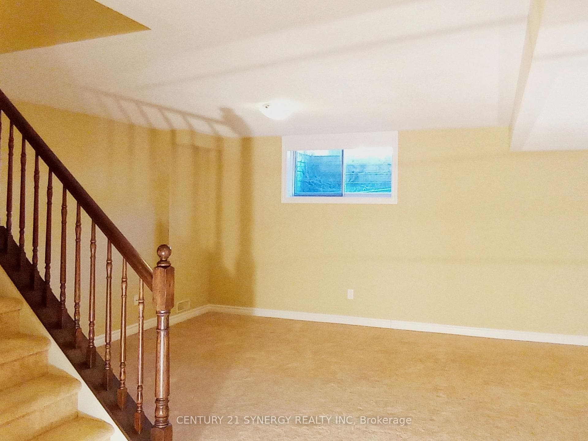 Basement Recreation Room