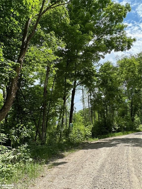 LOT 2 DWIGHT BEACH Road photo 46
