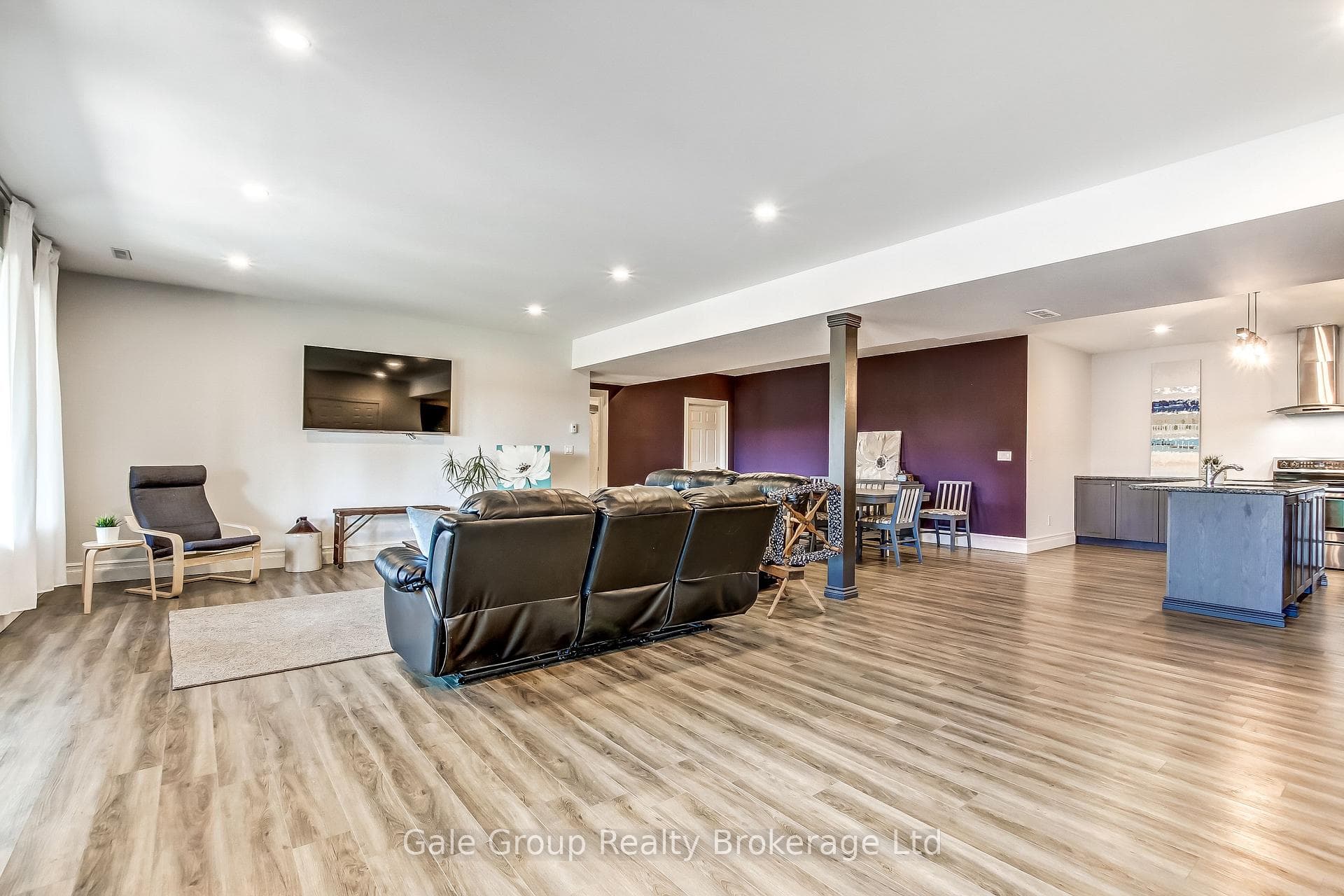 Basement Living Area
