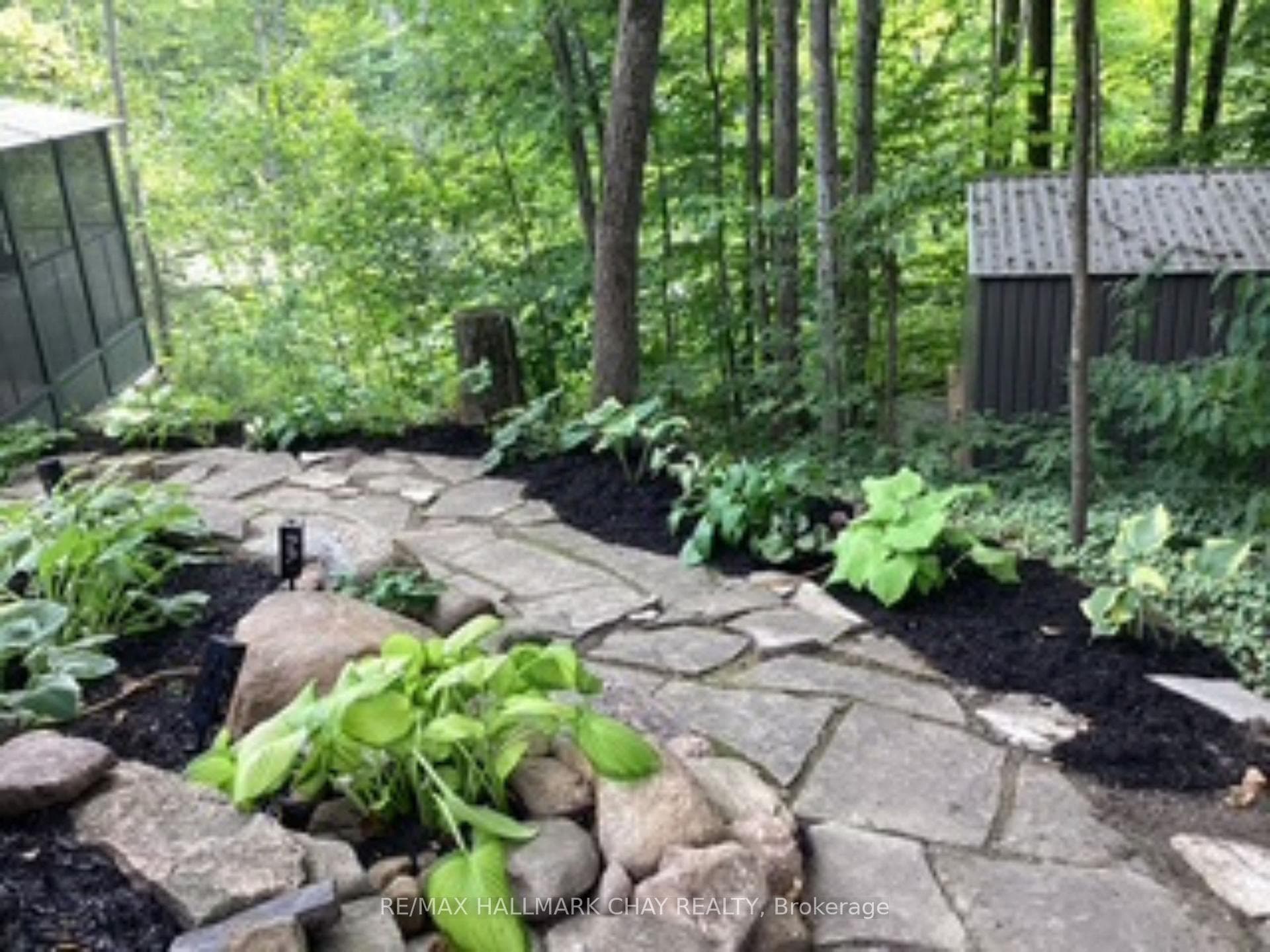 More Gardens in the Side Yard