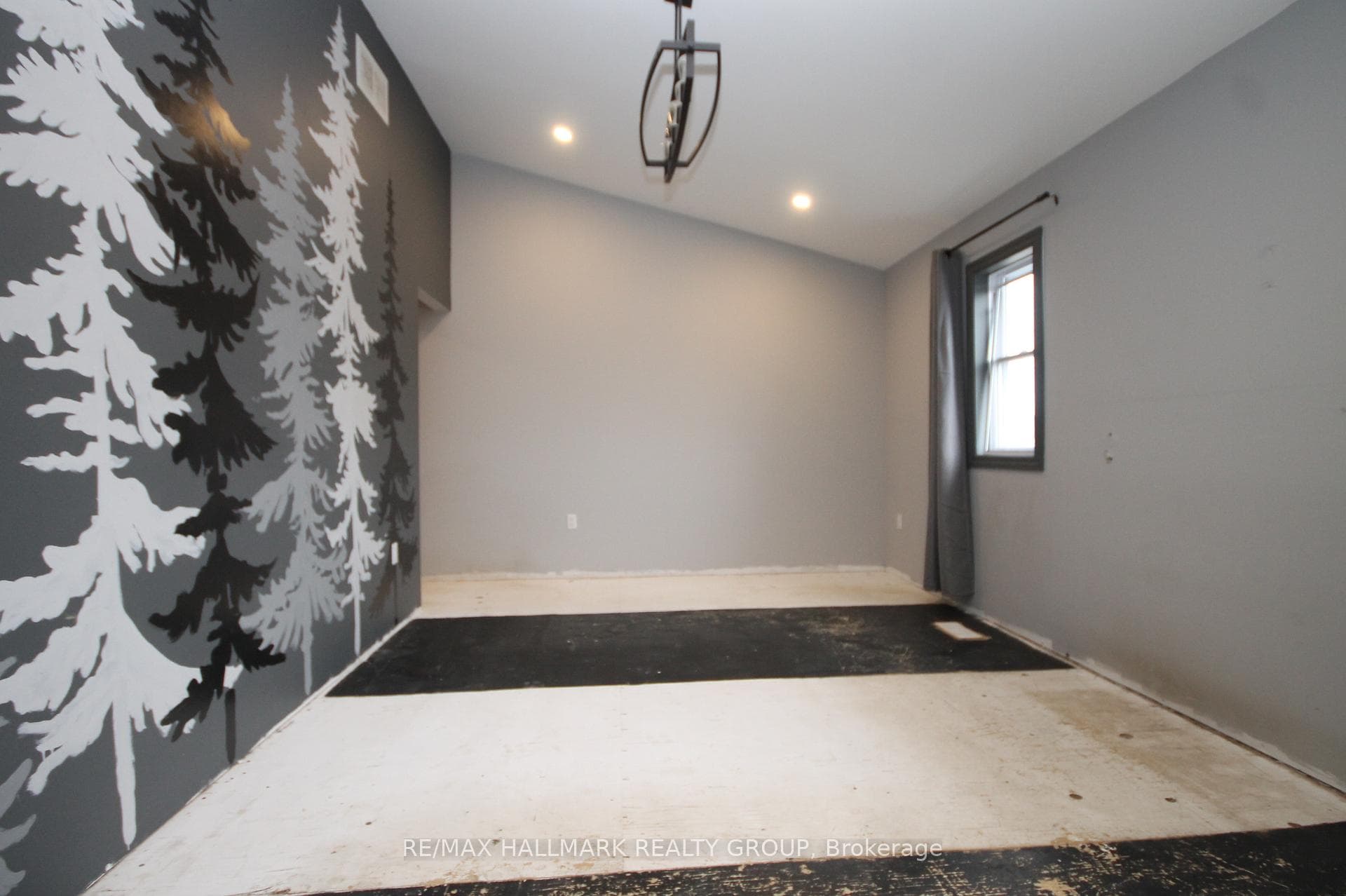 74 McGonigal Street photo 14