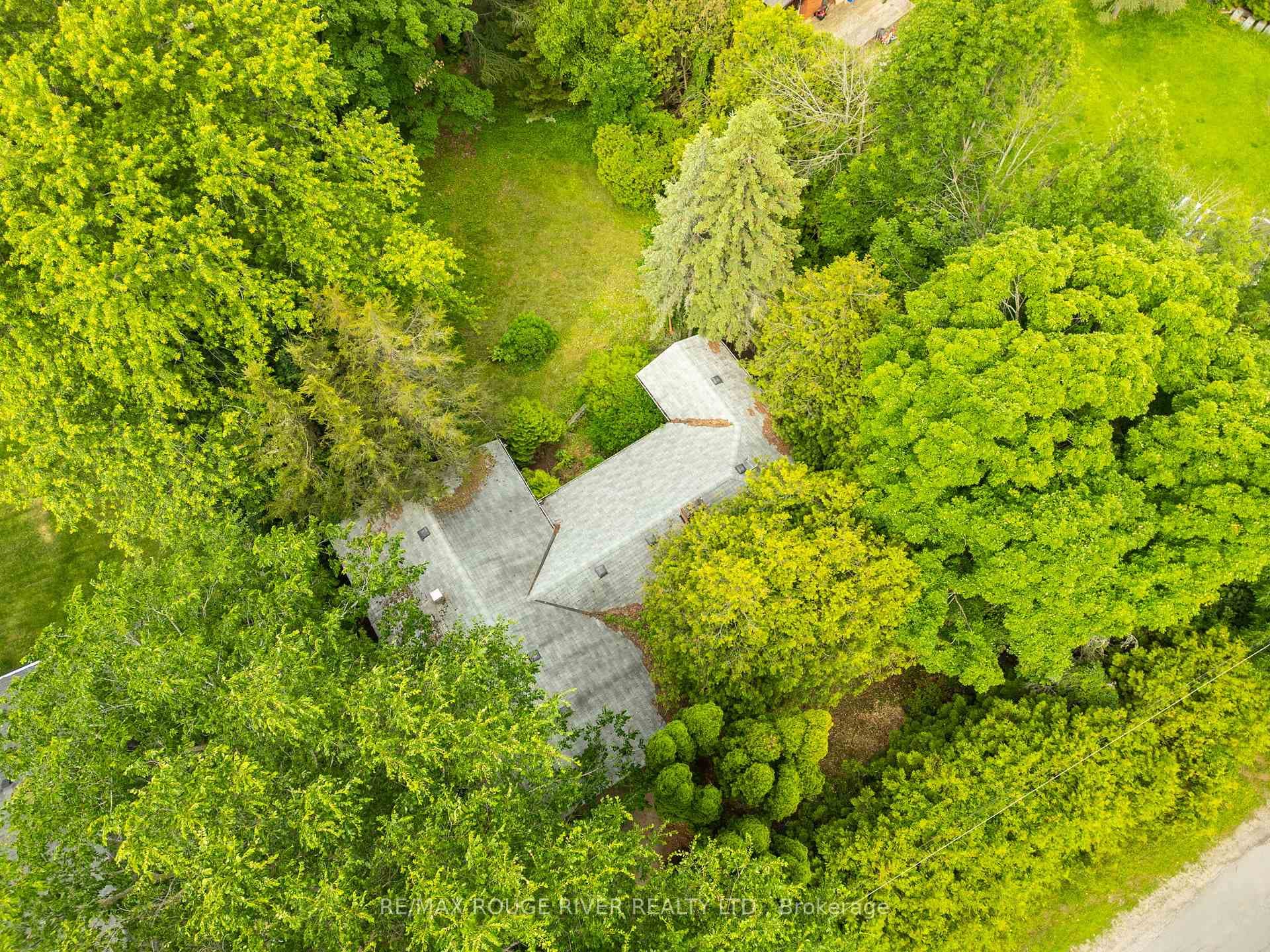 81 Gilson Street photo 10