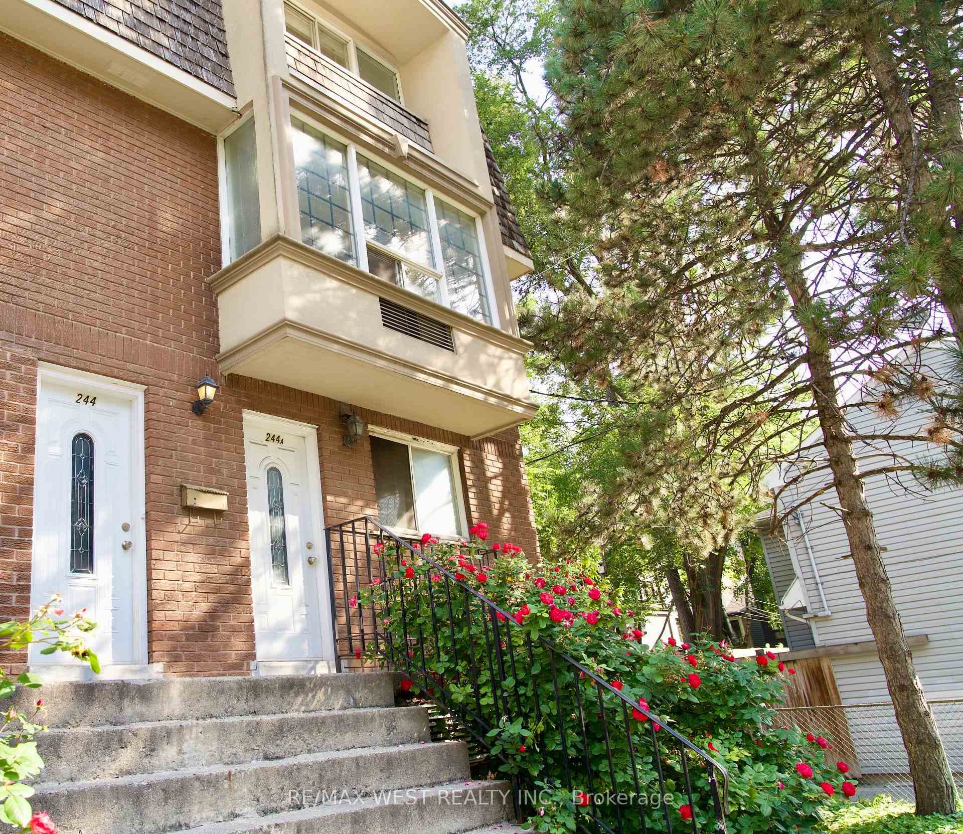 244 Shuter Street photo 6